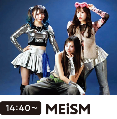 MEiSM